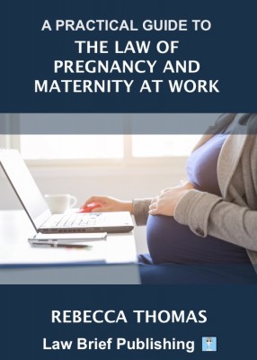 Practical Guide to the Law of Pregnancy and Maternity at Work
